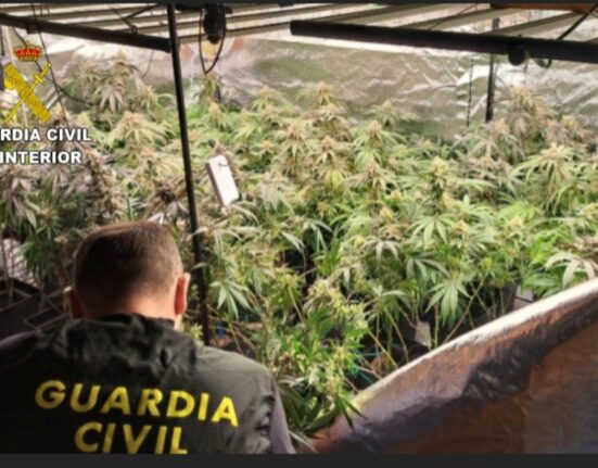 La Guardia Civil de Tui investiga a un varón en Santa María de Oia por un presunto delito contra la salud pública