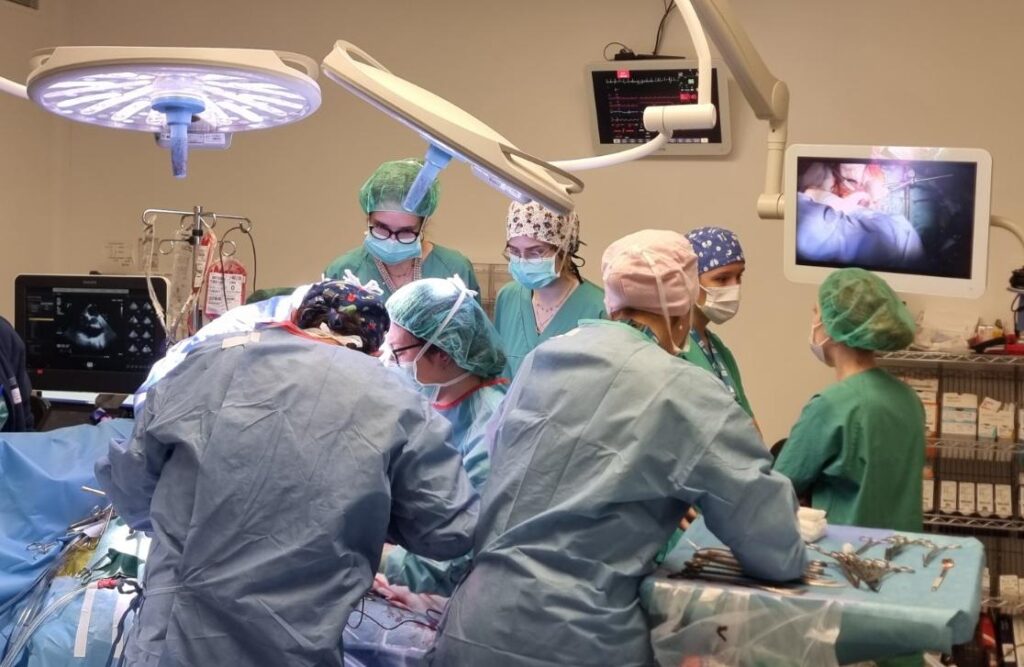 alicia alcanza los 10.000 trasplantes de órganos realizados desde que se inició el programa en 1981