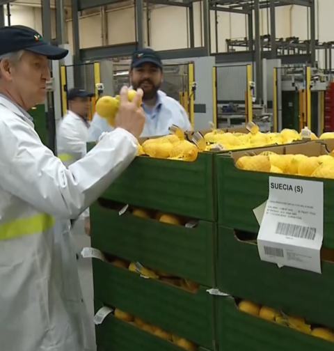 Feijóo propone una nueva ley de fiscalidad agraria ante el "incremento de impuestos y costes"