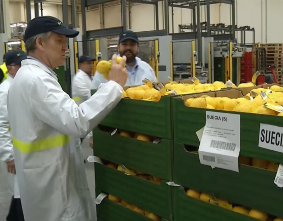 Feijóo propone una nueva ley de fiscalidad agraria ante el "incremento de impuestos y costes"