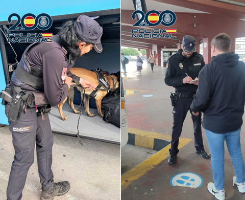 La Brigada Móvil del Transporte y los Guías Caninos de Policía Nacional establecerán dispositivos conjuntos para garantizar la seguridad en el transporte