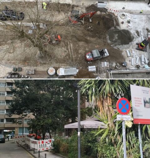 El BNG critica un nuevo arboricidio en el centro de Vigo del alcalde-leñador Abel Caballero