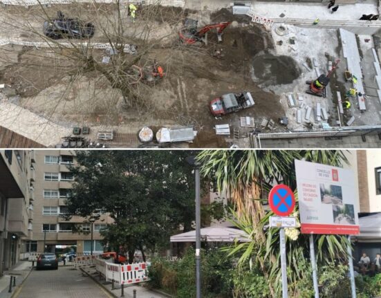 El BNG critica un nuevo arboricidio en el centro de Vigo del alcalde-leñador Abel Caballero