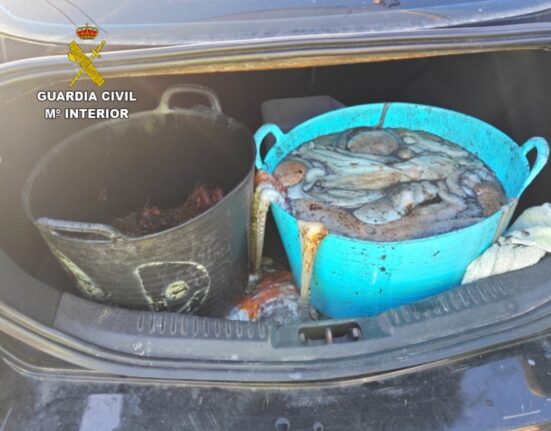 La Guardia Civil incauta en Bueu 45 kilos de pulpo y más de 8 kg de centolla ovada sin documentación que ampare la mercancía