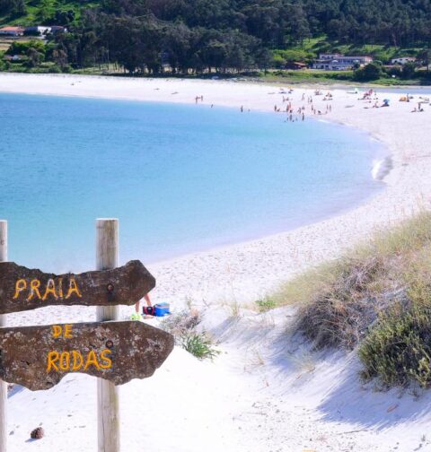 cies