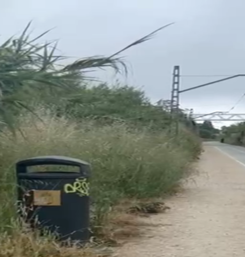 La asociación de vecinos Teis, denuncia a falta de mantenimiento de la "Vía Verde".
