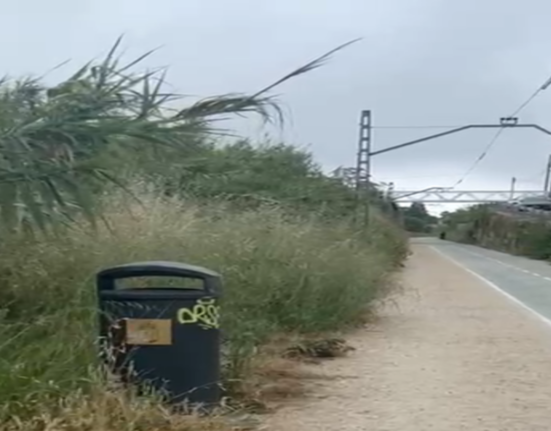 La asociación de vecinos Teis, denuncia a falta de mantenimiento de la "Vía Verde".
