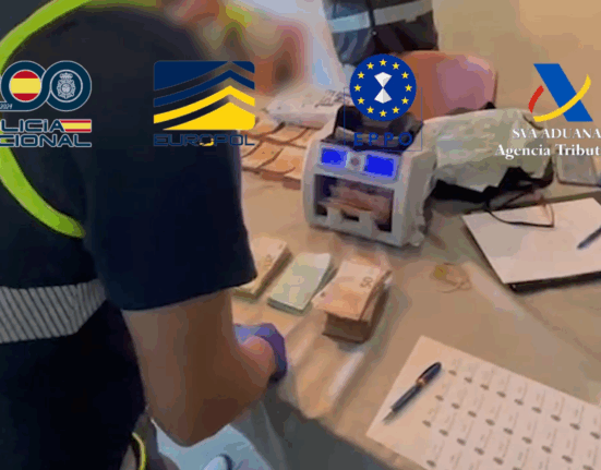 Desarticulada una organización criminal dedicada al fraude fiscal en la importación de mercancías desde China