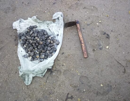 Interceptados en Teis 3 furtivos reincidentes