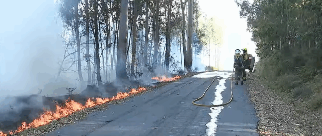 Activo un incendio forestal en el ayuntamiento pontevedrés de Meaño, parroquia de Xil
