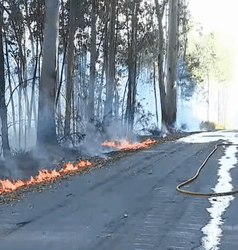 Activo un incendio forestal en el ayuntamiento pontevedrés de Meaño, parroquia de Xil