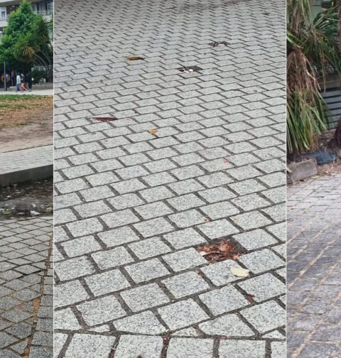 Denuncia el abandono de la plaza de la Independencia y demanda un mayor cuidado de los barrios y parroquias de Vigo