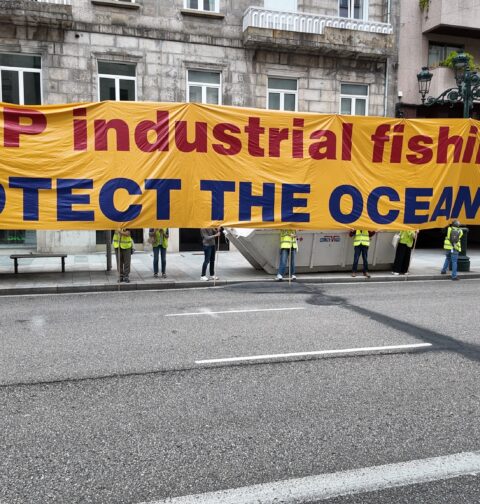 Ecologistas en Acción y Greenpeace protestan en Vigo contra la desprotección de los ecosistemas marinos vulnerables