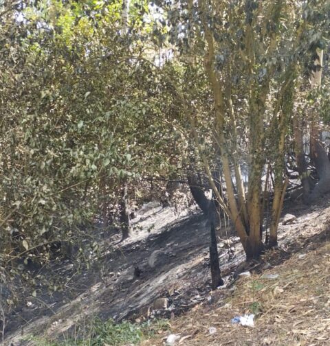 La Guardia Civil de Pontevedra detiene a una persona en Poio por un presunto delito de incendio