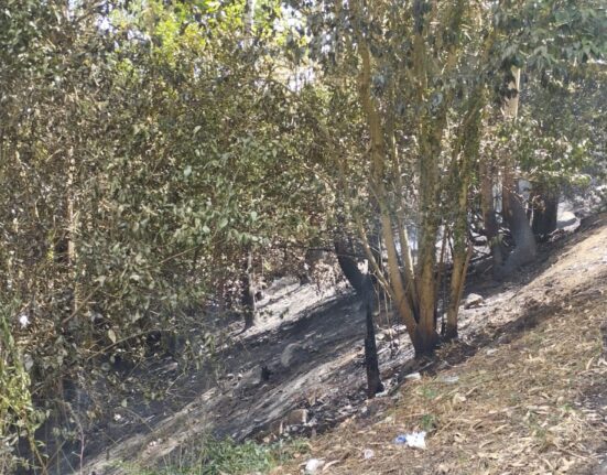 La Guardia Civil de Pontevedra detiene a una persona en Poio por un presunto delito de incendio