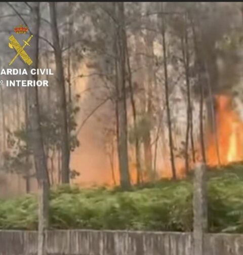 La Guardia Civil de Tui investiga a dos personas en Salvaterra por un presunto delito de incendio forestal