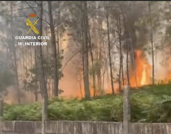 La Guardia Civil de Tui investiga a dos personas en Salvaterra por un presunto delito de incendio forestal