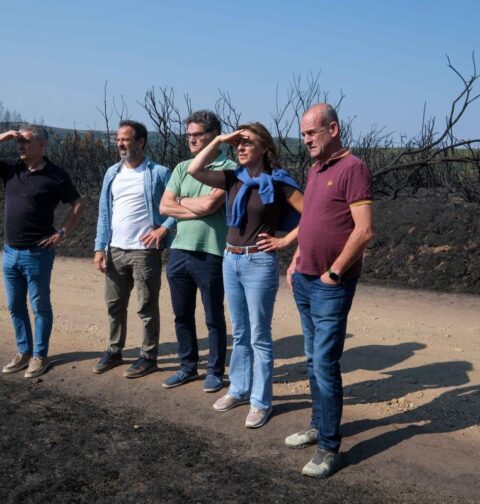 La Xunta anuncia ayudas económicas para recuperar terrenos y hábitats cinegéticos e infraestructuras de uso público dañados por los incendios forestales