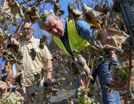 Rueda señala la necesidad de mantener la presencia por lo menos del Ejército durante el fin de semana para ayudar en labores de contención y recanalización