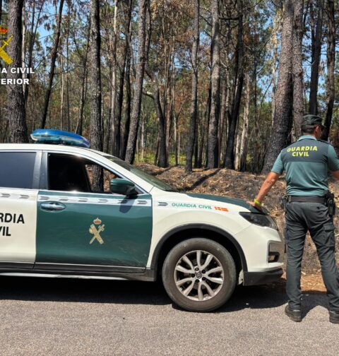La Guardia Civil de Pontevedra detiene a una persona por un presunto delito de incendio forestal