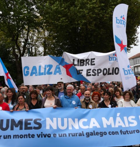 Pontón recrimina a Rueda que no dimita por su "negligente e incompetente" gestión de la vaga de fuegos