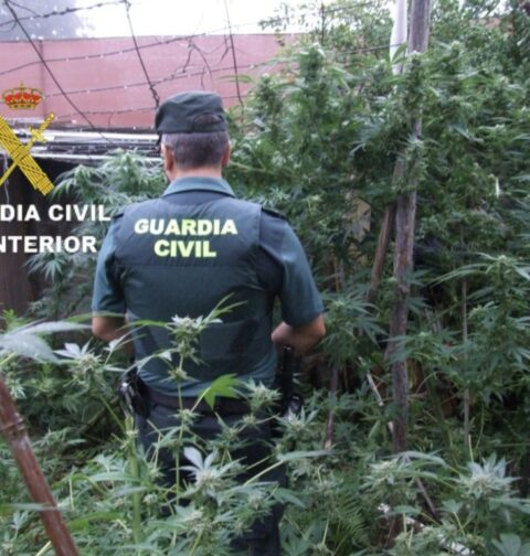 La Guardia Civil detiene a un vecino de Mos por un presunto delito contra la salud pública