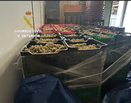 La Guardia Civil inmoviliza en Salvaterra de Miño 6000 kilos de uva procedente de Portugal sin documentación