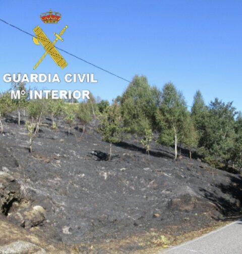 La Guardia Civil investiga a dos personas por un presunto delito de incendio forestal en Fornelos de Montes