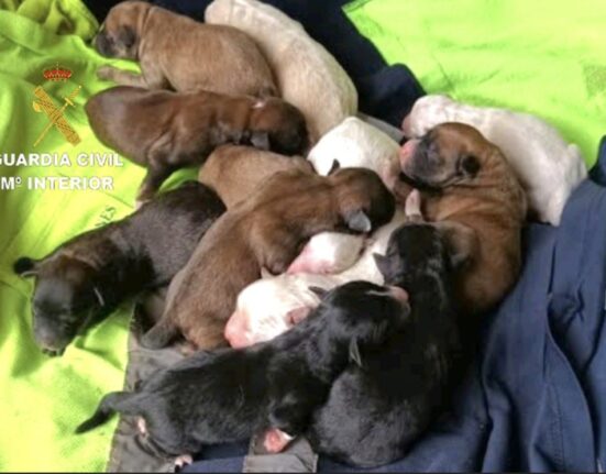 La Guardia Civil investiga a una persona de Tomiño por un presunto delito de maltrato animal