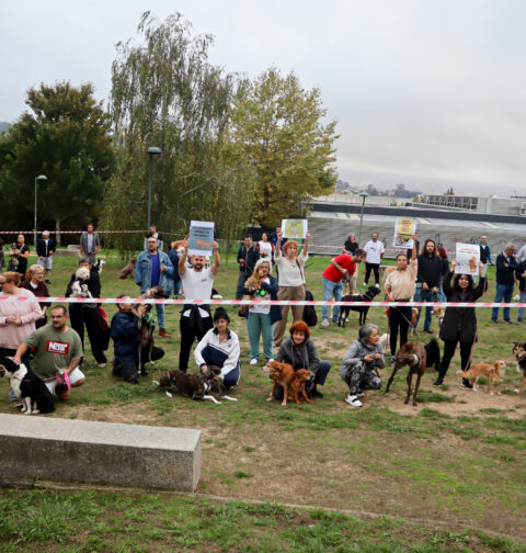 Las familias con perros de Barreiro "enjauladas" por el Concello