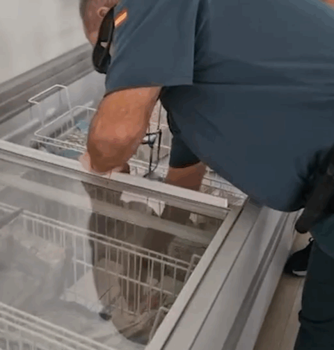 La Guardia Civil detiene a diez personas en Vigo y otras ciudades en una macrooperación internacional contra el fraude alimentario