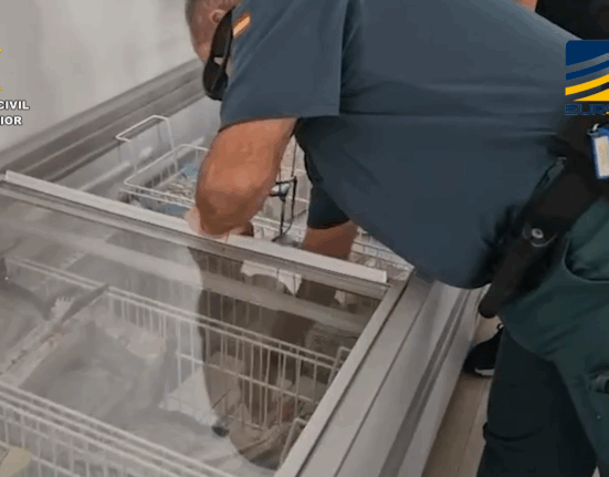 La Guardia Civil detiene a diez personas en Vigo y otras ciudades en una macrooperación internacional contra el fraude alimentario