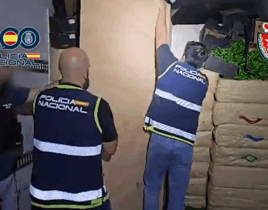 Intervenidas 20 toneladas de hachís ocultas entre pimientos en camiones frigoríficos procedentes de Marruecos