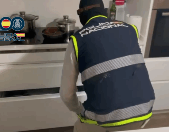 La Policía Nacional desarticula  una organización criminal dedicada al tráfico de drogas en Vigo y Nigrán