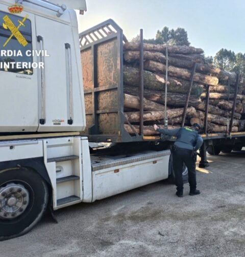 La Guardia Civil detiene a dos varones por varios delitos en Ponteareas