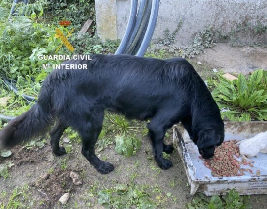 La Guardia Civil investiga por un presunto delito de maltrato animal a una vecina de Gondomar