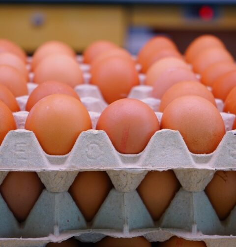 Los huevos han subido hasta un 26% en octubre en las principales cadenas de distribución