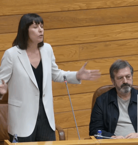 Pontón propone a Rueda pactar 7 M€ en los Presupuestos 2026 para contratar 100 psicólogos clínicos para los centros de salud