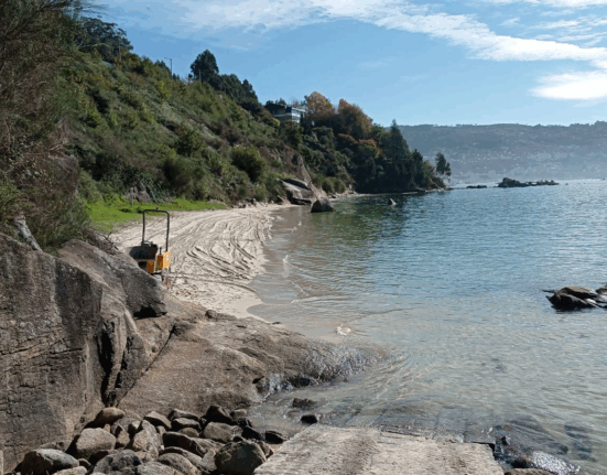 “Operativo en Vigo avanza con éxito: el 90% del vertido de aceite de palma ya ha sido recogido”