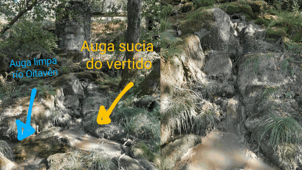 Ecologistas en Acción alerta sobre la presencia continuada de vertidos de aguas residuales en el río Octavieno y sus graves impactos ambientales y sobre la salud pública