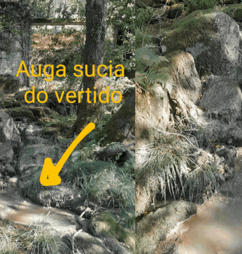 Ecologistas en Acción alerta sobre la presencia continuada de vertidos de aguas residuales en el río Octavieno y sus graves impactos ambientales y sobre la salud pública