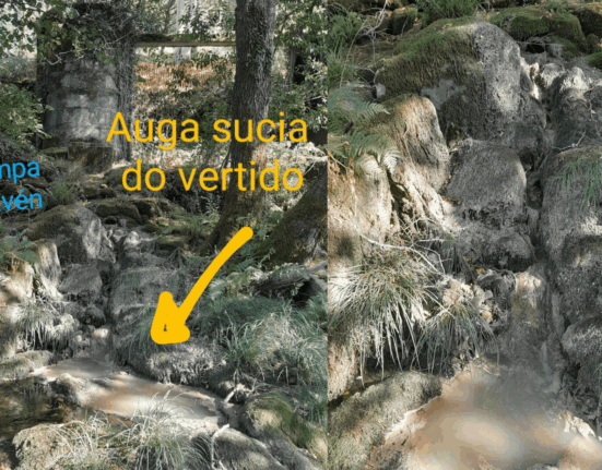 Ecologistas en Acción alerta sobre la presencia continuada de vertidos de aguas residuales en el río Octavieno y sus graves impactos ambientales y sobre la salud pública