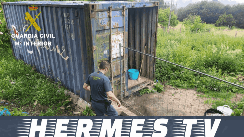 La Guardia Civil de Pontevedra investiga a dos personas por delitos de maltrato animal