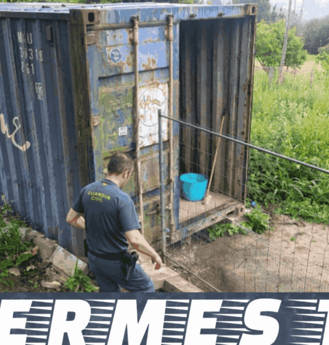 La Guardia Civil de Pontevedra investiga a dos personas por delitos de maltrato animal
