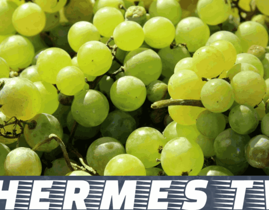 uvas