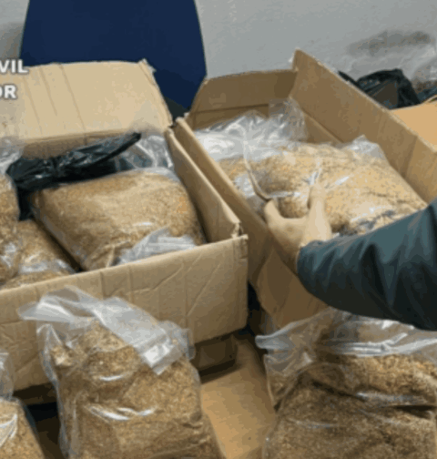 La Guardia Civil de Pontevedra intercepta picadura de tabaco ilegal