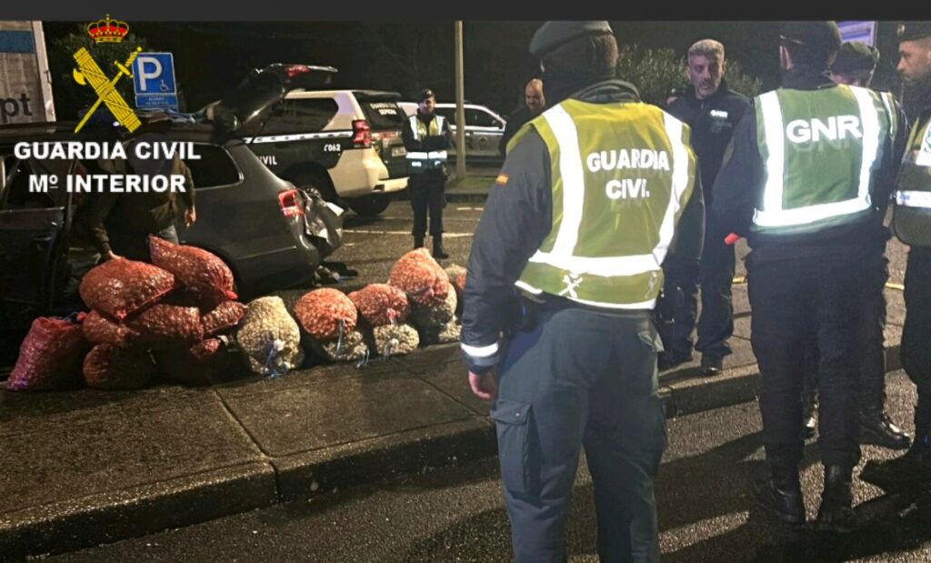 La Guardia Civil de Pontevedra en servicio conjunto con la GNR portuguesa intervienen 1400 kg de bivalvos