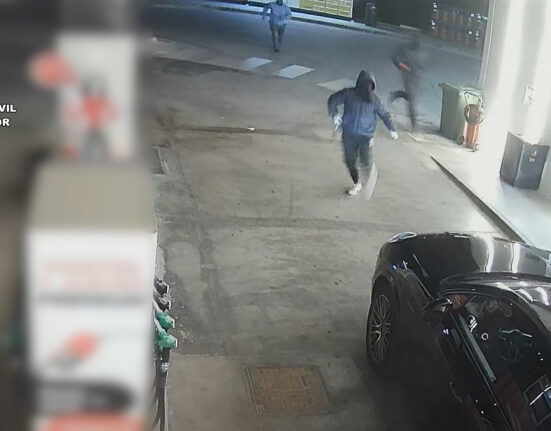 Desarticulado un grupo criminal dedicado a cometer robos en gasolineras, comercios y viviendas