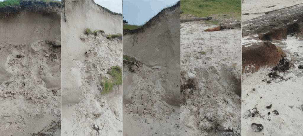 La Asociación ZOA alerta del grave derrumbe de la duna de A Calzoa y pide medidas urgentes al Concello de Vigo