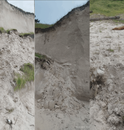 La Asociación ZOA alerta del grave derrumbe de la duna de A Calzoa y pide medidas urgentes al Concello de Vigo